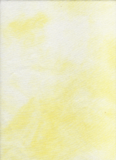 marbelled-buttercup