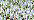 3232 Brazilianite Kreinik Very Fine #4 Braid